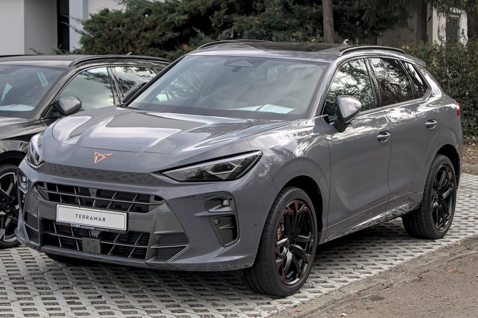 Cupra Terramar Generation I (2024)