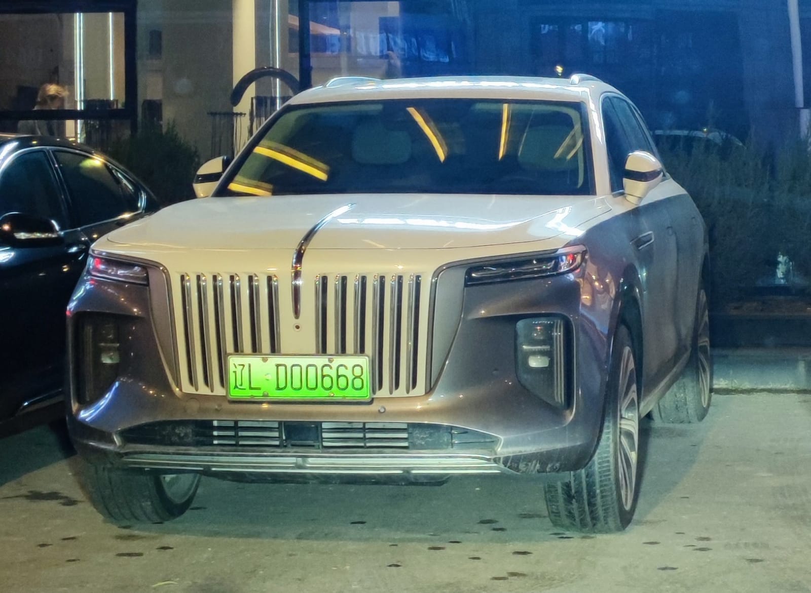 Hongqi E-HS9 I (2020)