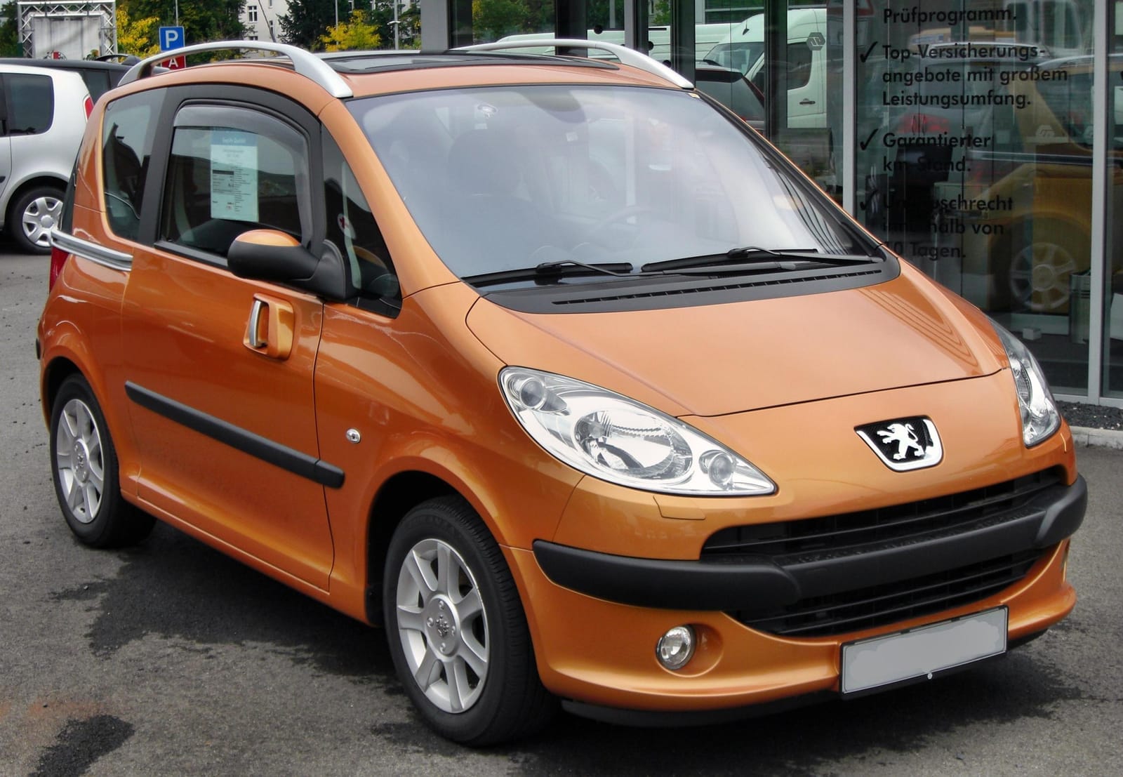 Peugeot 1007 I (2005-2009)