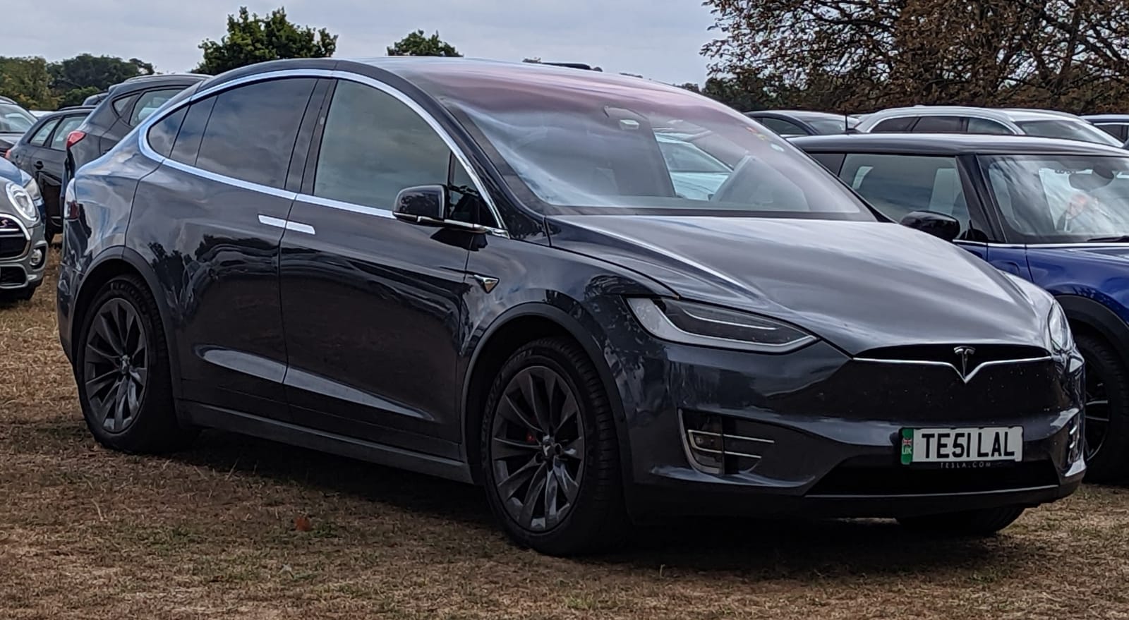 Tesla Model X Raven (2019-2020)